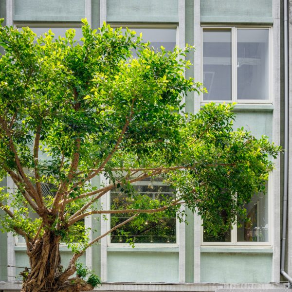 LIGHTWELL - Taipei Taiwan - SB 143 SB 240 SB 250 - retail-03